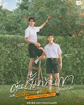 当橘子掉落时——卿卿日常电视剧免费观看
